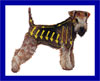 Click here for more detailed Lakeland Terrier breed information and available puppies, studs dogs, clubs and forums